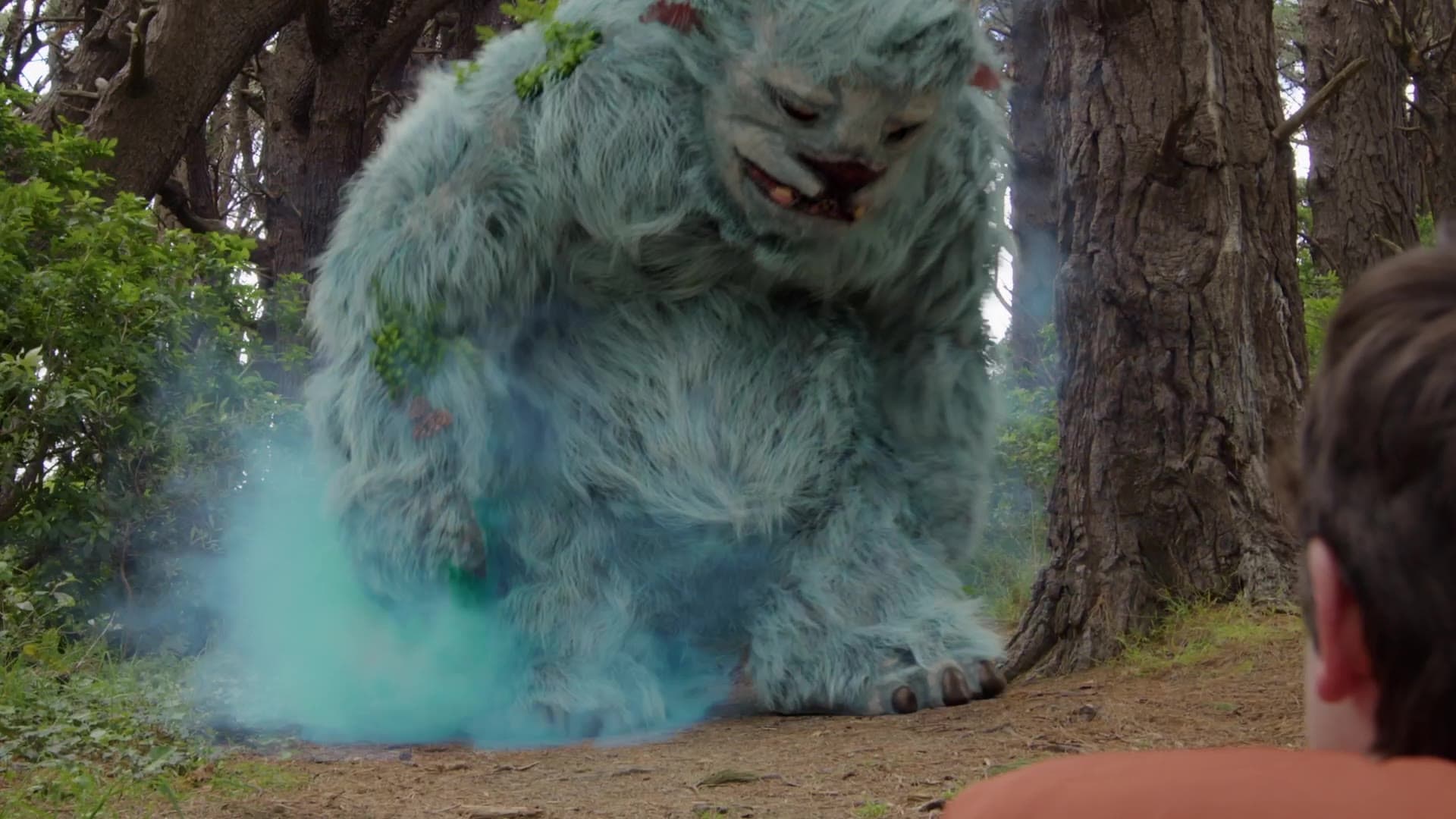 Still from Echoes of the Wild